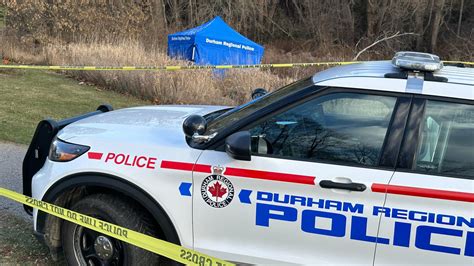 Human remains discovered in wooded area in Bowmanville, investigation underway